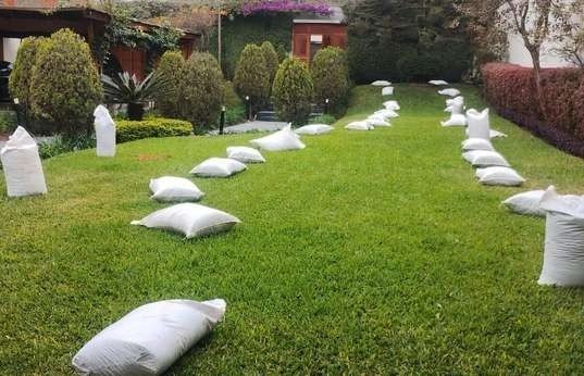 Aplicación de abono orgánico: foto 1