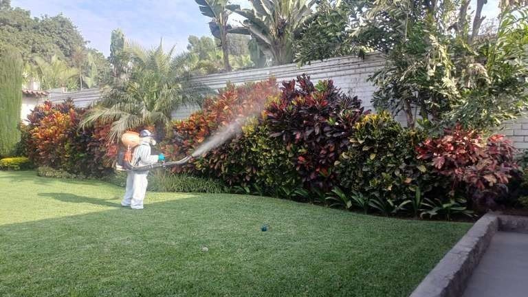 Fumigación de plagas: foto 1