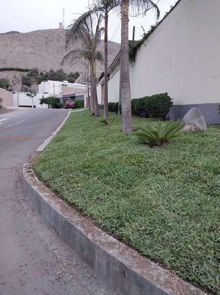 Recuperación de áreas verdes: foto 1