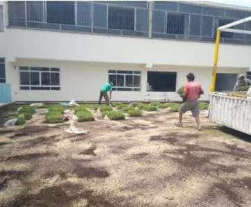 Instalación de grass americano: foto 2