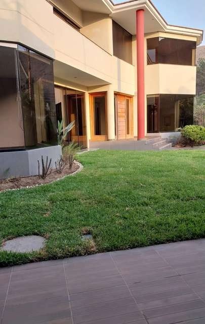 Recuperación de áreas verdes: foto 2