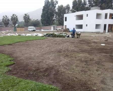 Instalación de grass americano: foto 3