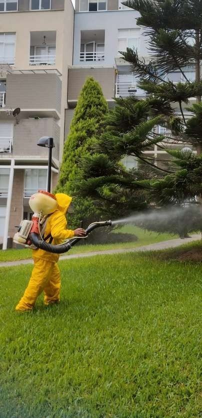 Fumigación de plagas: foto 3