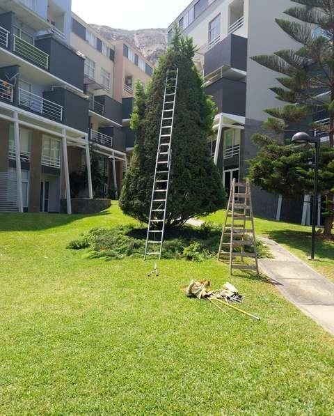 Mantenimiento de condominio: foto 3