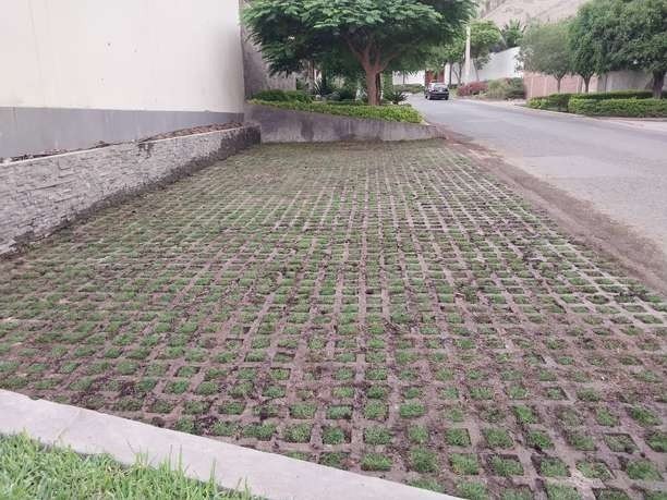 Recuperación de áreas verdes: foto 3