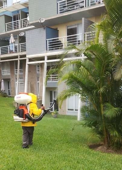 Mantenimiento de condominio: foto 4