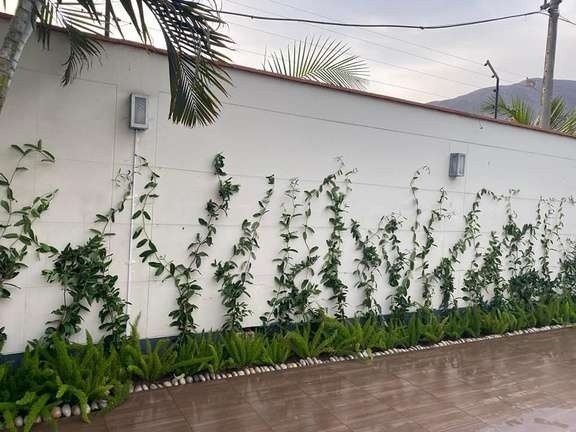 Recuperación de áreas verdes: foto 6