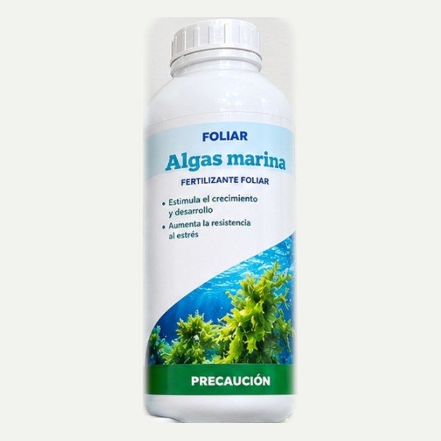 Algas marinas – Fertilizante foliar