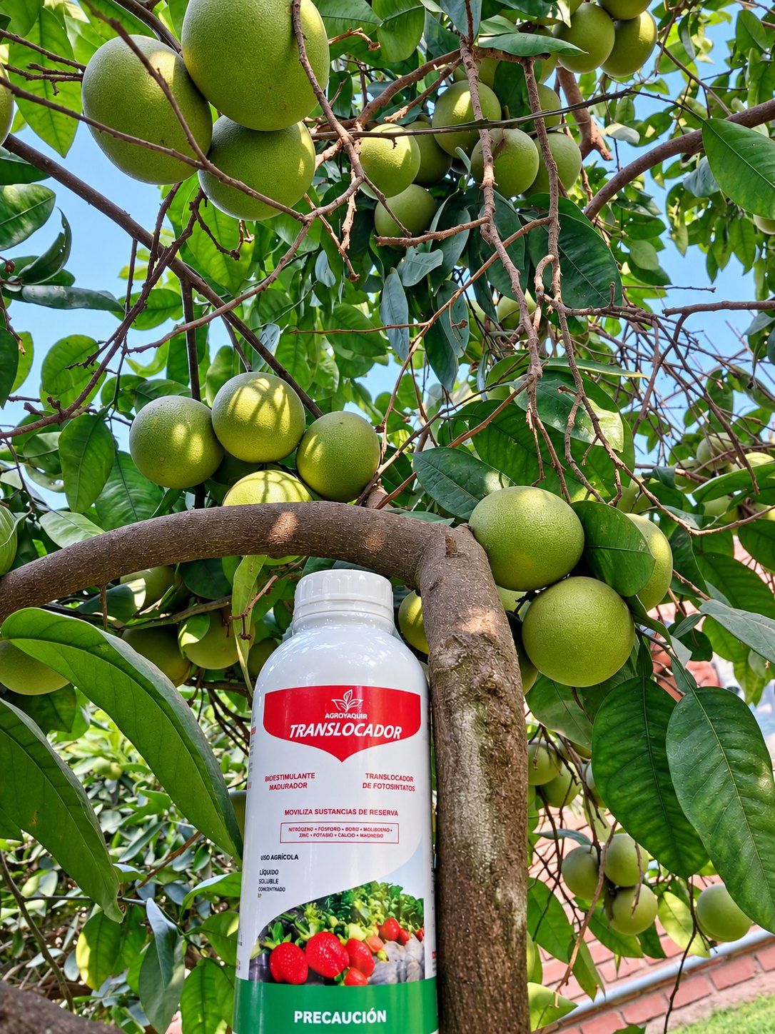 Insumos agrícolas – trabajo 4