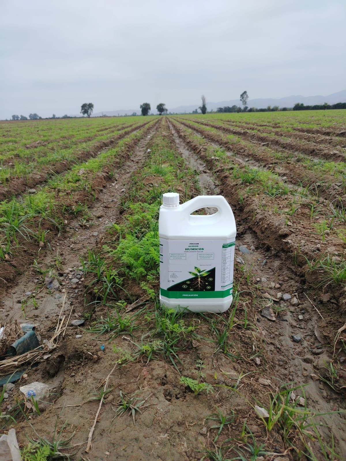 Insumos agrícolas – trabajo 5