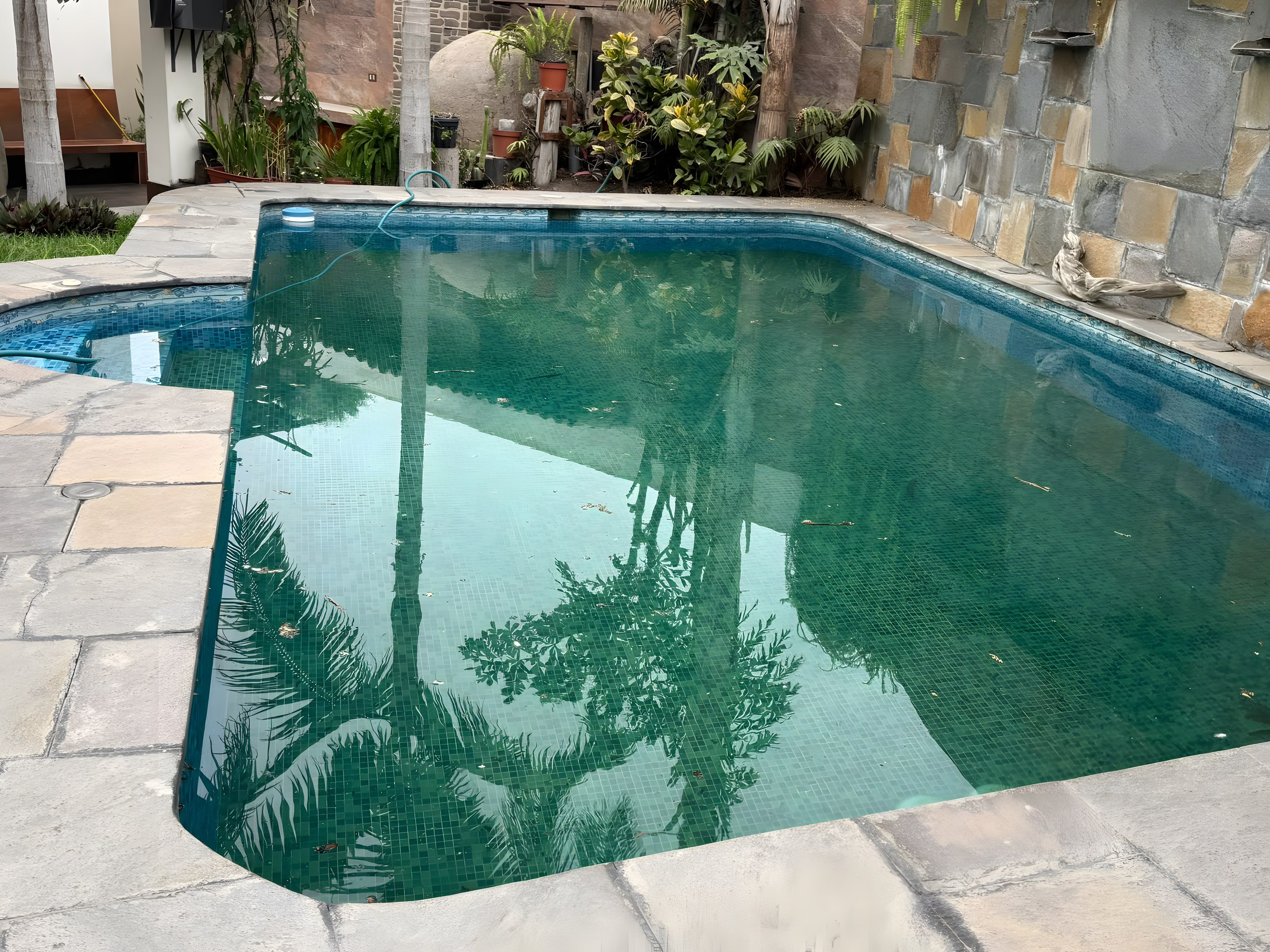 Piscina con el agua verdosa antes del mantenimiento